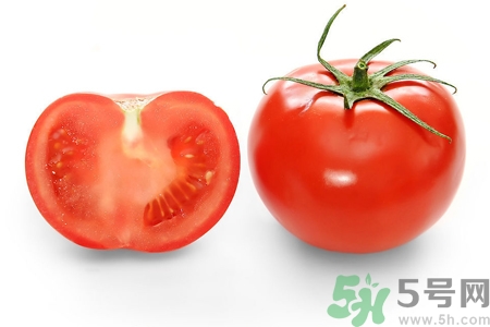 番茄和西紅柿有什么區(qū)別？番茄和西紅柿一樣嗎？