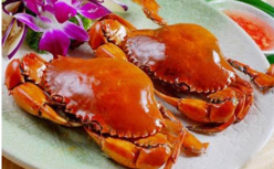 胃不好能吃螃蟹嗎？什么人不能吃螃蟹？