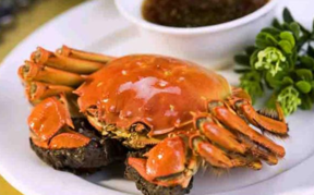 胃不好能吃螃蟹嗎？什么人不能吃螃蟹？