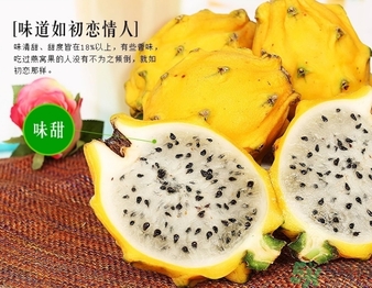 黃龍果多少錢一斤？黃龍果的功效作用