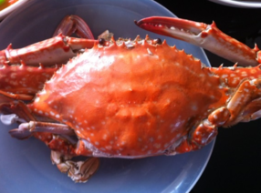 梭子蟹什么時(shí)候最肥？梭子蟹什么時(shí)候最好吃？