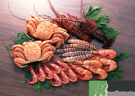 吃海鮮胸部會(huì)變大嗎？吃海鮮會(huì)得乳腺膿腫嗎？