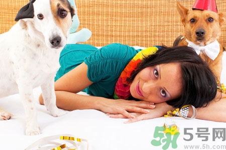 狗狗發(fā)燒了怎么辦？狗狗發(fā)燒的癥狀有哪些？