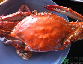 梭子蟹什么時候有黃？怎么看梭子蟹是否滿黃？