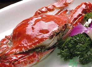 梭子蟹什么時候有黃？怎么看梭子蟹是否滿黃？