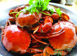 海蟹什么時(shí)候有黃？海蟹什么黃最多？