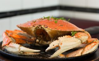 梭子蟹蒸多長時間？梭子蟹怎么蒸？