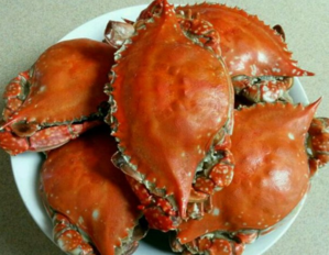 梭子蟹蒸多長時間？梭子蟹怎么蒸？