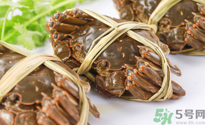 盤錦河蟹什么時候最好？盤錦河蟹什么時候最肥？