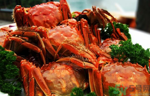 洪澤湖大閘蟹多少錢(qián)一斤？洪澤湖大閘蟹價(jià)格