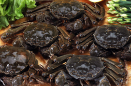 大閘蟹多少錢一斤？大閘蟹多少錢一只？