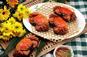 大閘蟹哪個品牌好？什么牌子的大閘蟹好吃？