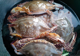 河蟹死了還能吃嗎？河蟹死了多久還能吃？