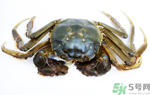 河蟹死了還能吃嗎？河蟹死了多久還能吃？