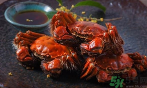 陽澄湖大閘蟹死了還能吃嗎？陽澄湖大閘蟹死了為什么不能吃？