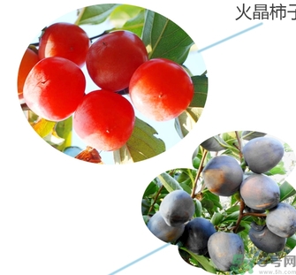 黑柿的營養(yǎng)價(jià)值及功效 黑柿怎么吃？