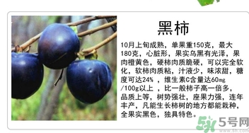 黑柿的營養(yǎng)價(jià)值及功效 黑柿怎么吃？