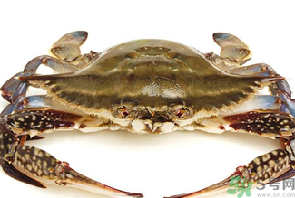 梭子蟹死了還能吃嗎？梭子蟹死了多久還能吃？