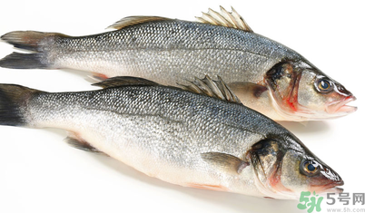 孕婦可以吃梭子蟹嗎？孕婦吃梭子蟹好嗎？