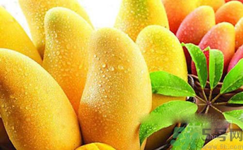 流鼻血不能吃什么食物？流鼻血吃什么好？