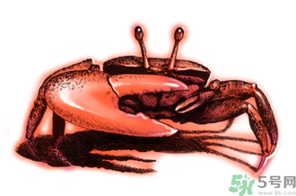 吃螃蟹后嘔吐怎么辦？吃螃蟹嘔吐吃什么藥？