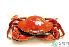 吃螃蟹后嘔吐怎么辦？吃螃蟹嘔吐吃什么藥？