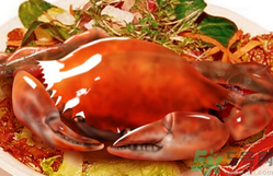 吃螃蟹后嘔吐怎么辦？吃螃蟹嘔吐吃什么藥？