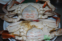 梭子蟹怎么洗？冷凍梭子蟹怎么洗？