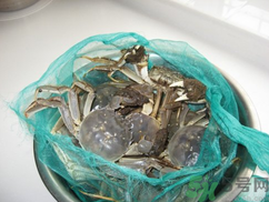 梭子蟹怎么保存？活的梭子蟹怎么保存？