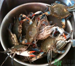 梭子蟹怎么保存？活的梭子蟹怎么保存？