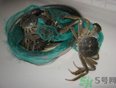 梭子蟹怎么保存？活的梭子蟹怎么保存？