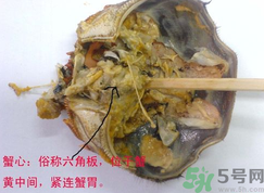 梭子蟹哪些部位不能吃？梭子蟹哪些人不能吃？