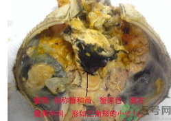 梭子蟹哪些部位不能吃？梭子蟹哪些人不能吃？