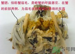 梭子蟹哪些部位不能吃？梭子蟹哪些人不能吃？