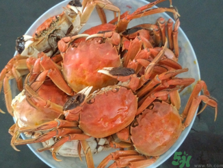 大閘蟹公的好還是母的好？大閘蟹怎么分辨公母？