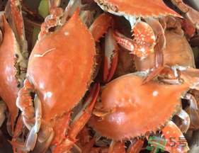 大閘蟹公的好還是母的好？大閘蟹怎么分辨公母？