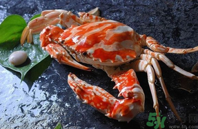 大閘蟹公的好還是母的好？大閘蟹怎么分辨公母？