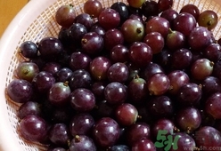 葡萄可以用鹽水泡嗎?為什么葡萄要放鹽水里泡?
