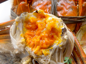 吃蟹黃有什么好處？如何挑選蟹黃多的螃蟹？