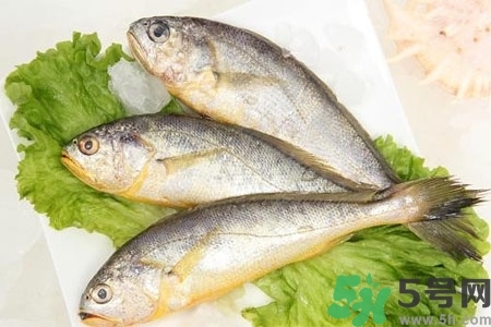 秋季適合吃什么魚？秋季吃魚的好處？
