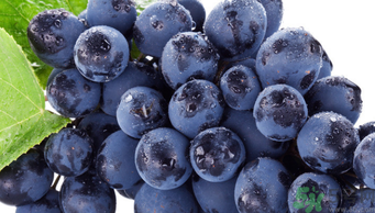 巨峰葡萄吃多了好嗎？食用巨峰葡萄的注意事項(xiàng)