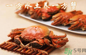 盤錦河蟹和陽(yáng)澄湖大閘蟹的區(qū)別？盤錦河蟹和陽(yáng)澄湖大閘蟹哪個(gè)比較好吃？