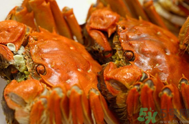 盤錦河蟹和陽(yáng)澄湖大閘蟹的區(qū)別？盤錦河蟹和陽(yáng)澄湖大閘蟹哪個(gè)比較好吃？