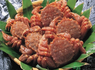 陽(yáng)澄湖大閘蟹和太湖大閘蟹的區(qū)別？陽(yáng)澄湖大閘蟹好還是太湖大閘蟹好？