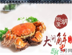 陽(yáng)澄湖大閘蟹為什么出名？陽(yáng)澄湖大閘蟹出名的原因