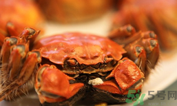 陽澄湖大閘蟹和普通大閘蟹的區(qū)別？陽澄湖大閘蟹比普通大閘蟹好在哪里？