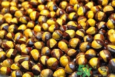 吃栗子會上火嗎？吃栗子會便秘嗎？