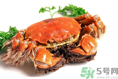 陽(yáng)澄湖大閘蟹是河蟹嗎？陽(yáng)澄湖大閘蟹和河蟹的區(qū)別