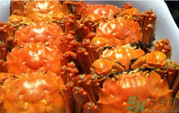 陽澄湖大閘蟹好吃嗎？陽澄湖大閘蟹為什么好吃？