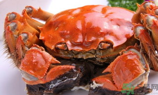 陽澄湖大閘蟹好吃嗎？陽澄湖大閘蟹為什么好吃？